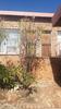  Property For Rent in Murrayfield, Pretoria